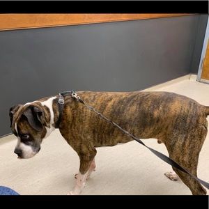 Meet your Posher, Jt